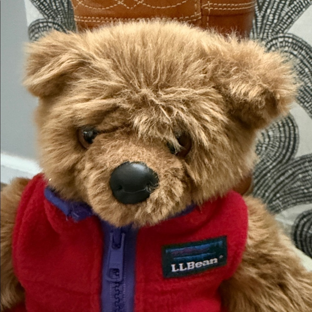 LL Bean Vintage “LL Cub” 15” Teddy Bear - Picture 2 of 5